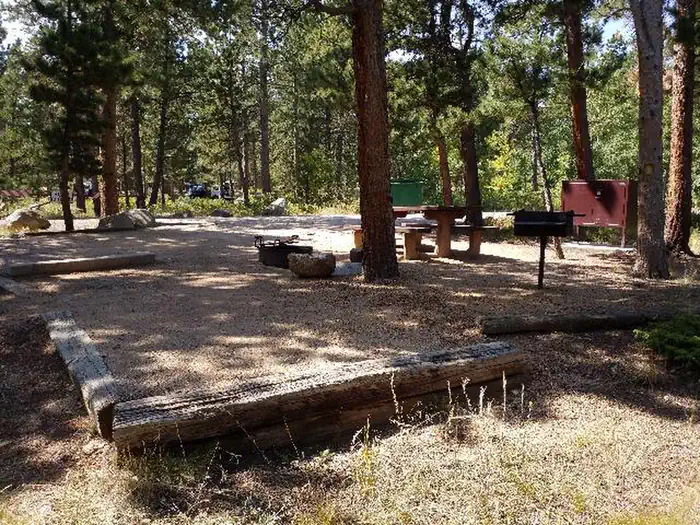 OLIVE RIDGE photo 4