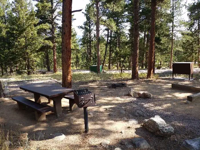 OLIVE RIDGE photo 5