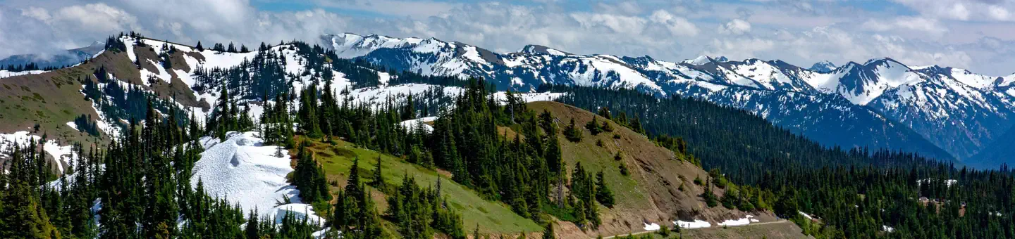 Olympic National Park Wilderness Permit photo