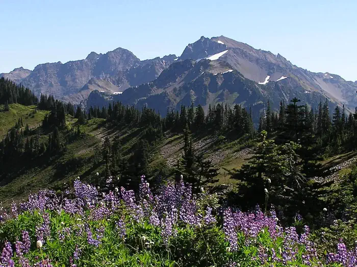 Olympic National Park Wilderness Permit photo 5