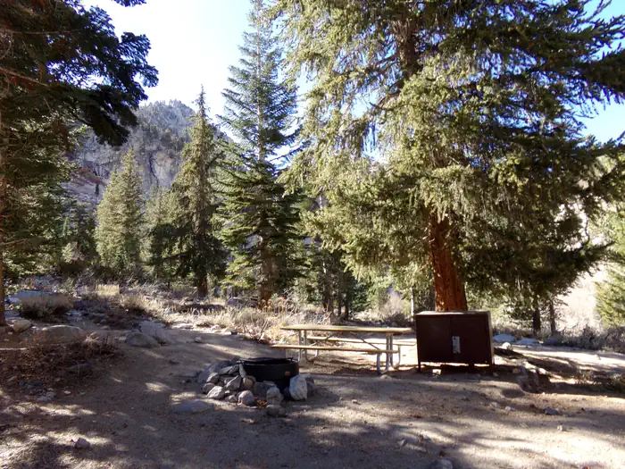 ONION VALLEY photo 3