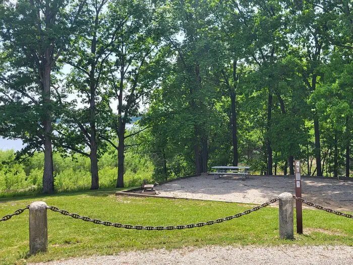 OPOSSUM CREEK photo 4