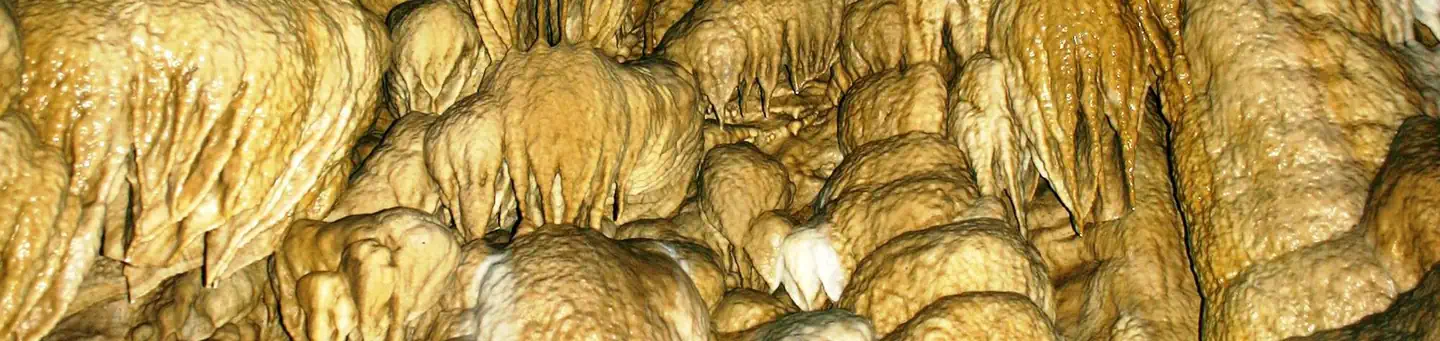Oregon Caves National Monument and Preserve Tours photo