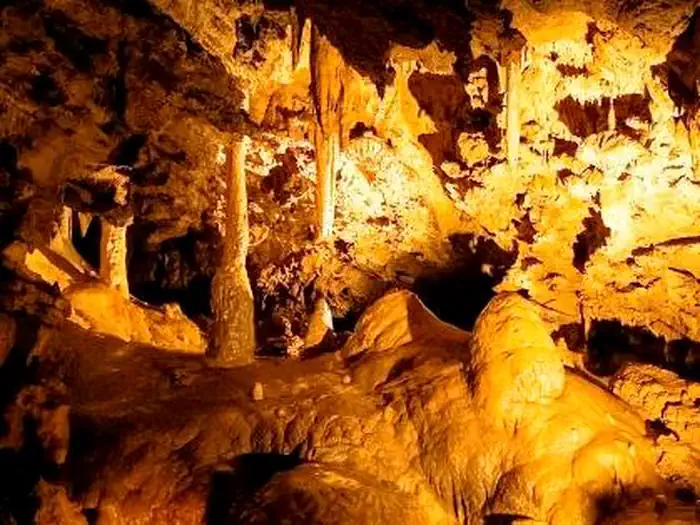 Oregon Caves National Monument and Preserve Tours photo 3