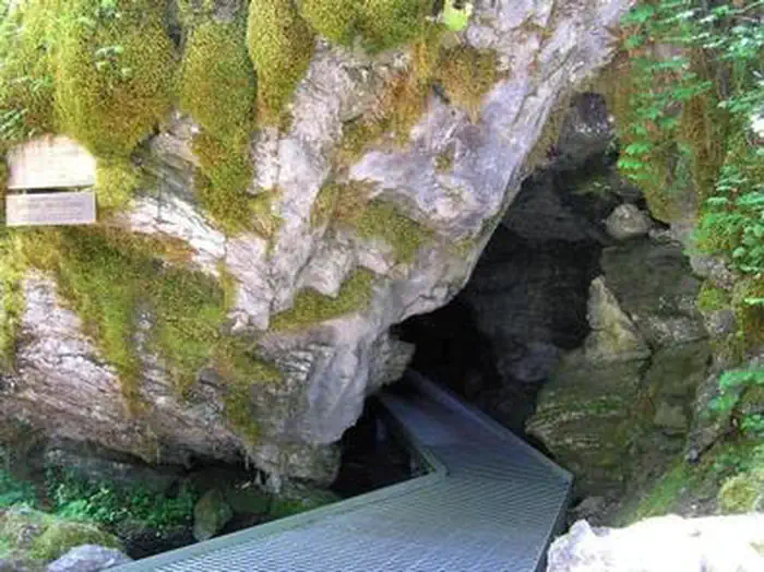 Oregon Caves National Monument and Preserve Tours photo 4