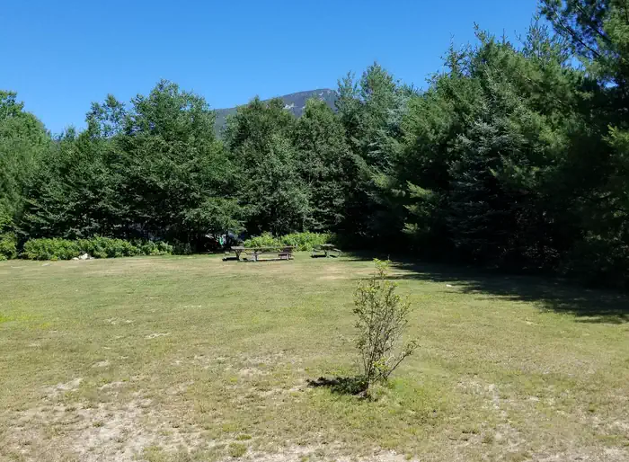 OSCEOLA VISTA CAMPGROUND photo 3