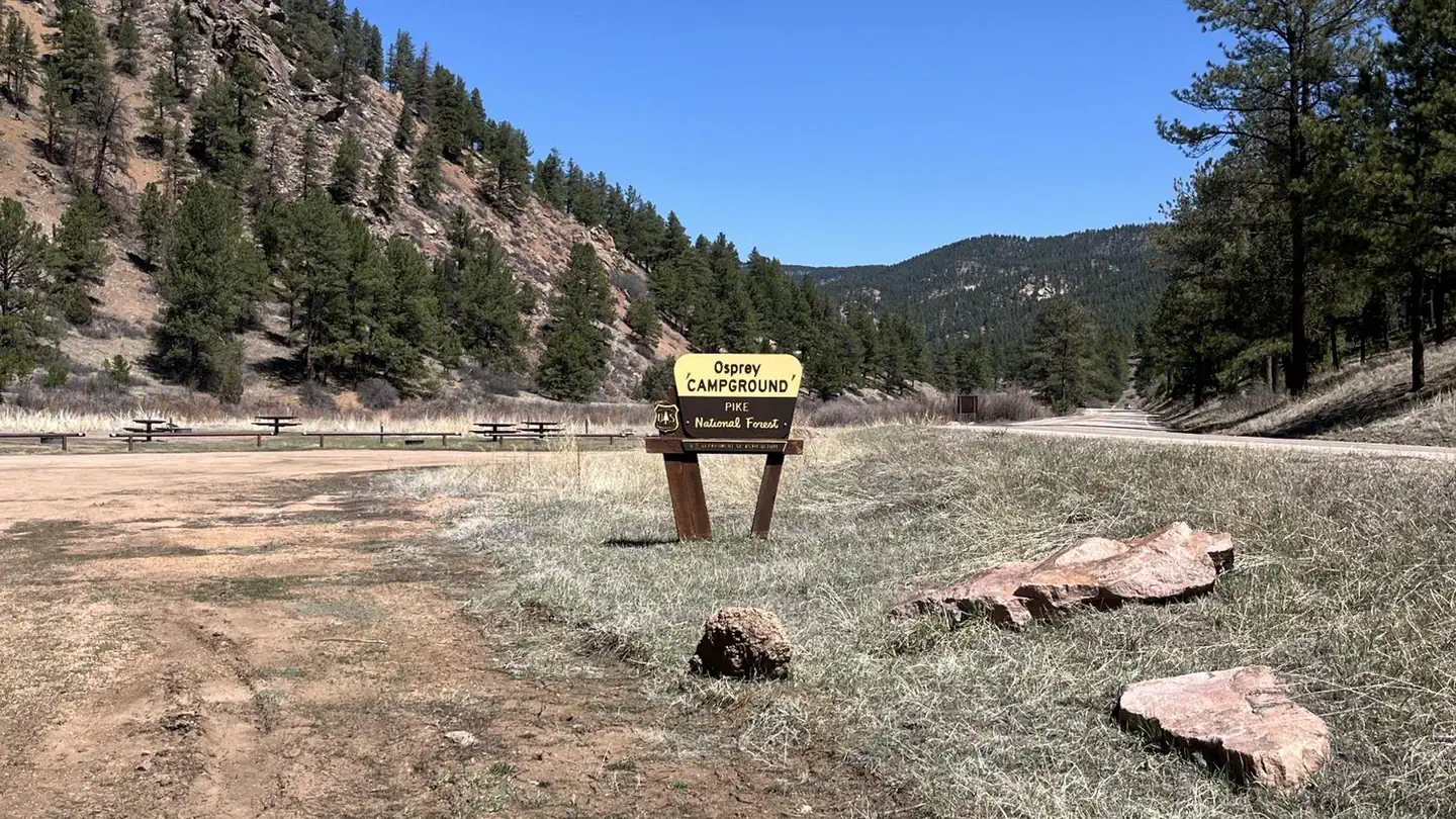 Osprey (CO) photo