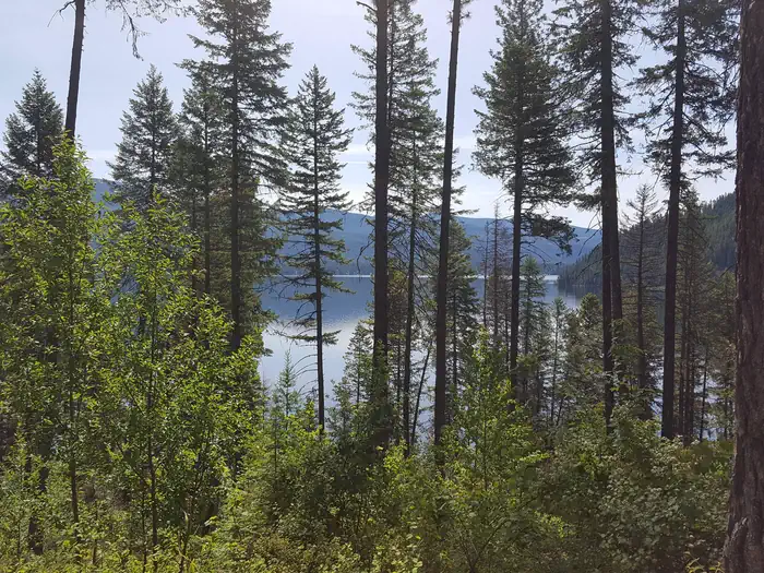 OSPREY photo 5