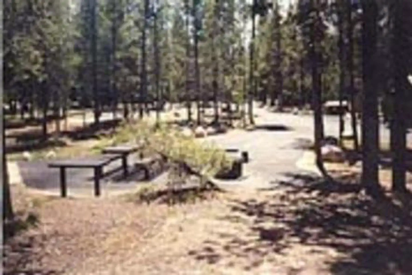 OUTLET AREA photo