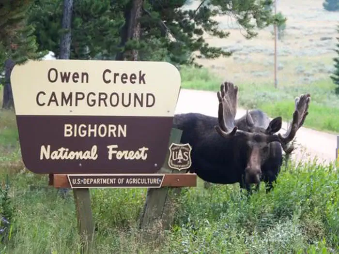 OWEN CREEK photo 5