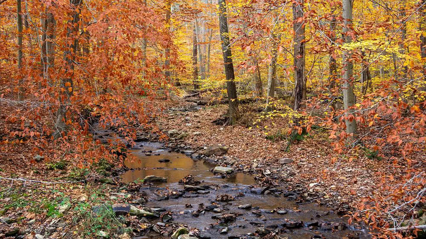 OWENS CREEK CAMPGROUND photo