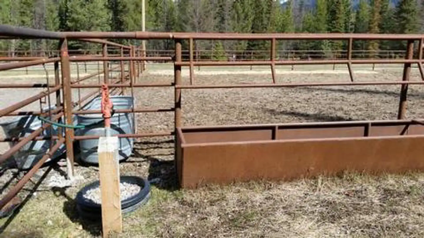 OWL CREEK CORRAL photo 2
