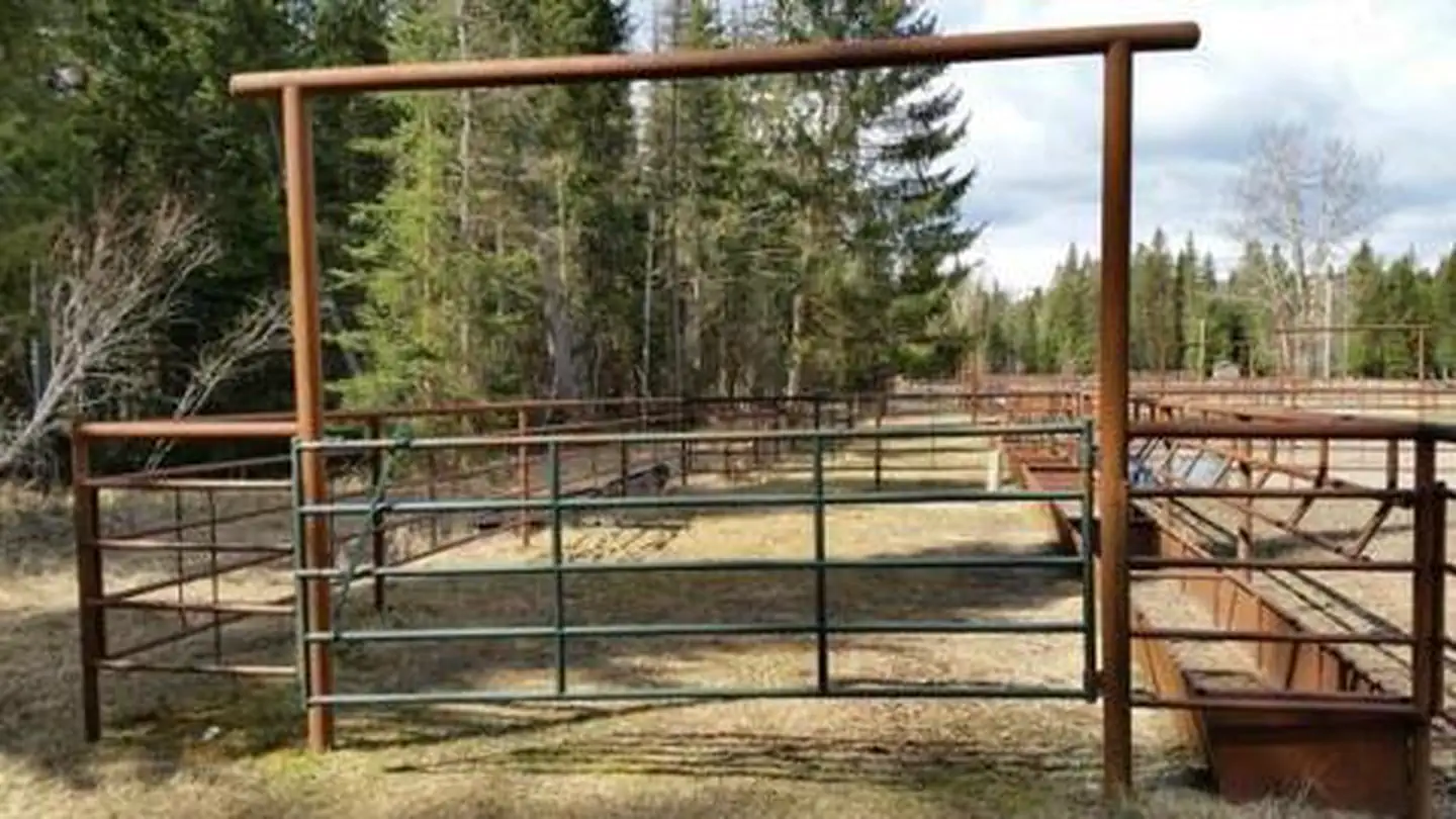 OWL CREEK CORRAL photo 3