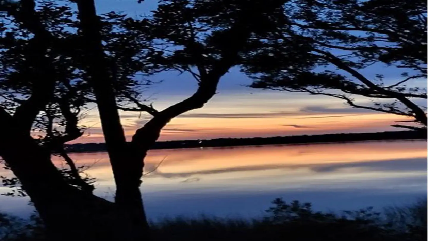 OYSTER POINT CAMPGROUND photo