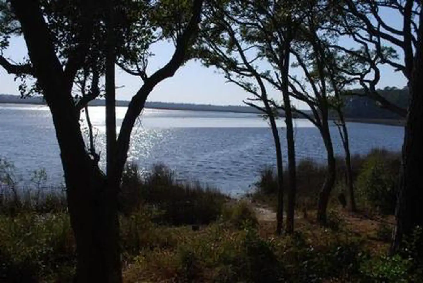 OYSTER POINT CAMPGROUND photo 5