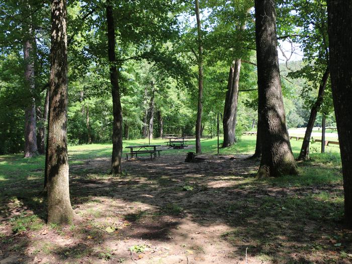 Ozark Campground photo 3