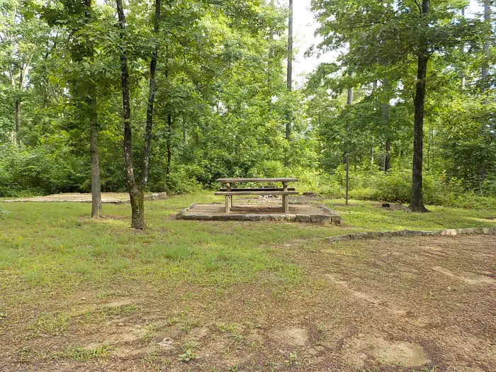 Ozone Campground photo 4
