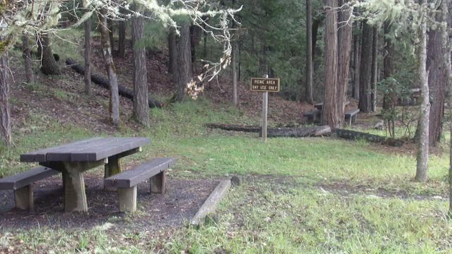 PACKARD CREEK photo