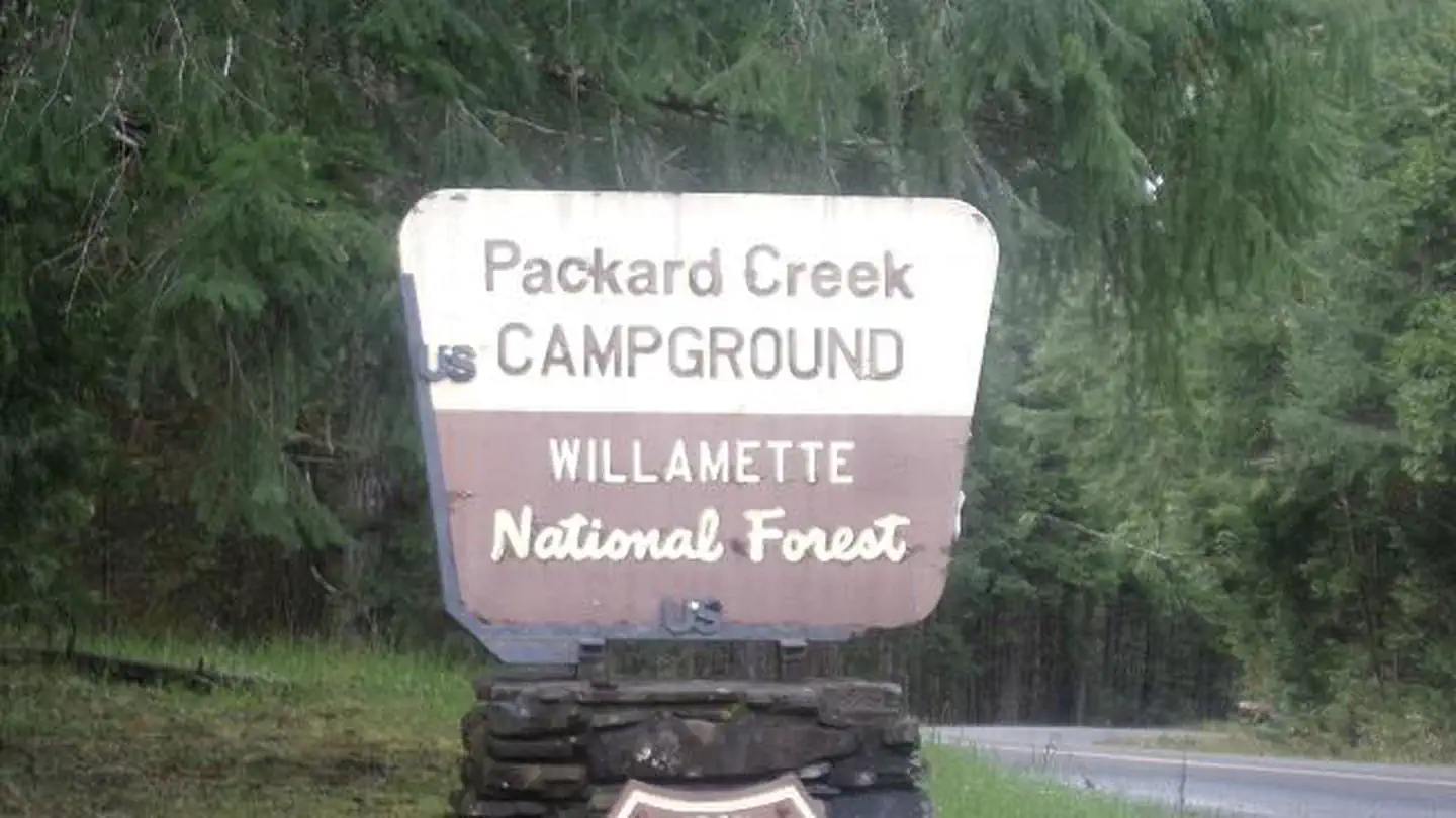PACKARD CREEK photo 3