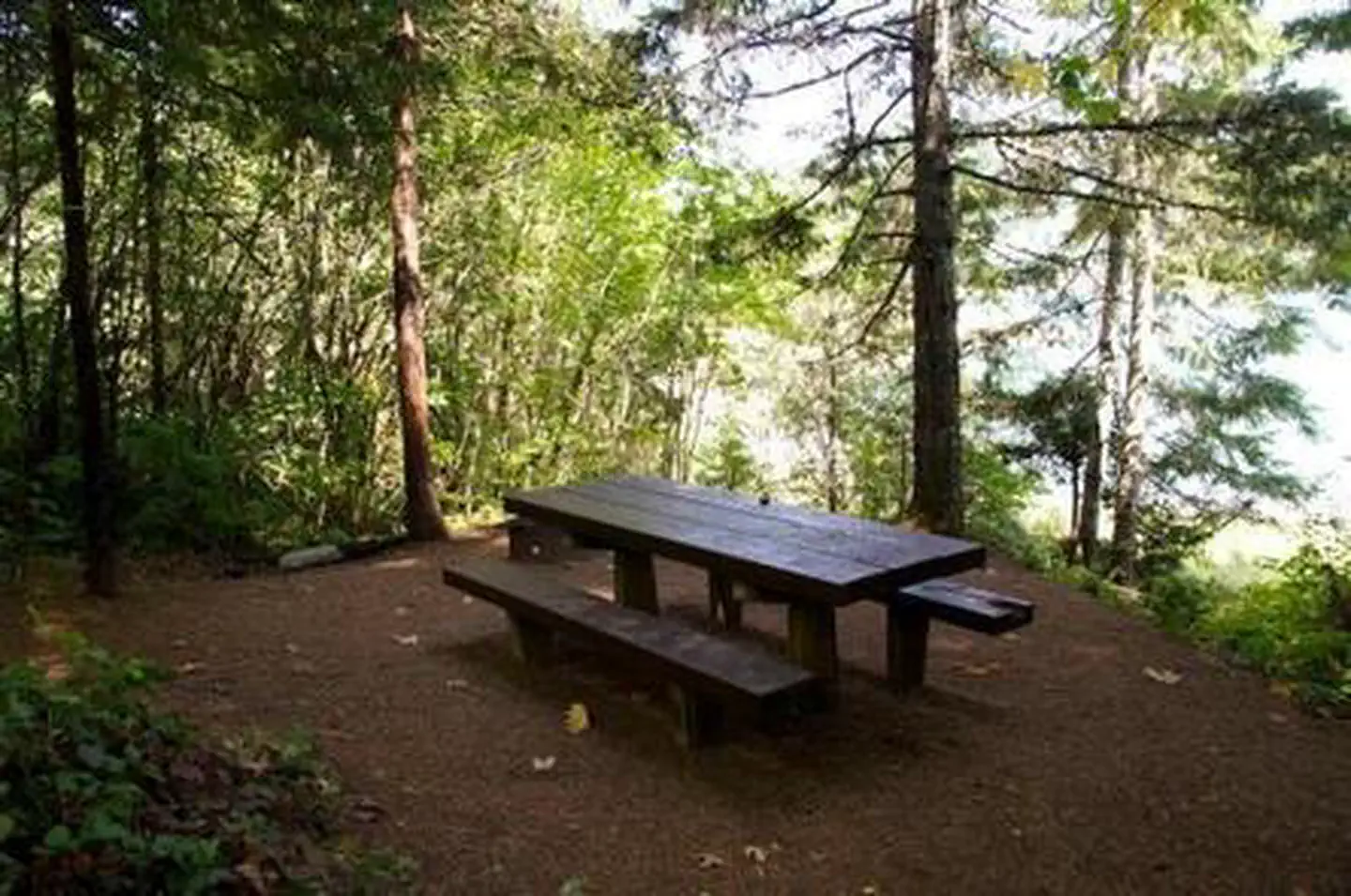 PACKARD CREEK photo 5