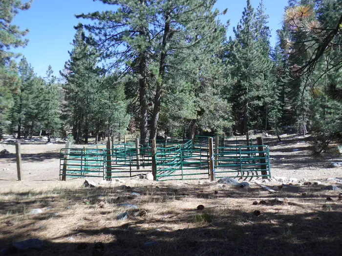 PACKSADDLE photo 4