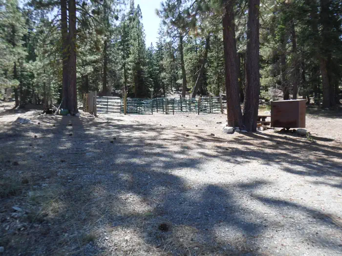 PACKSADDLE photo 5