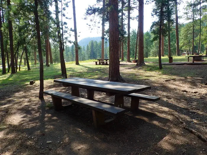Pactola Reservoir Campground photo 3