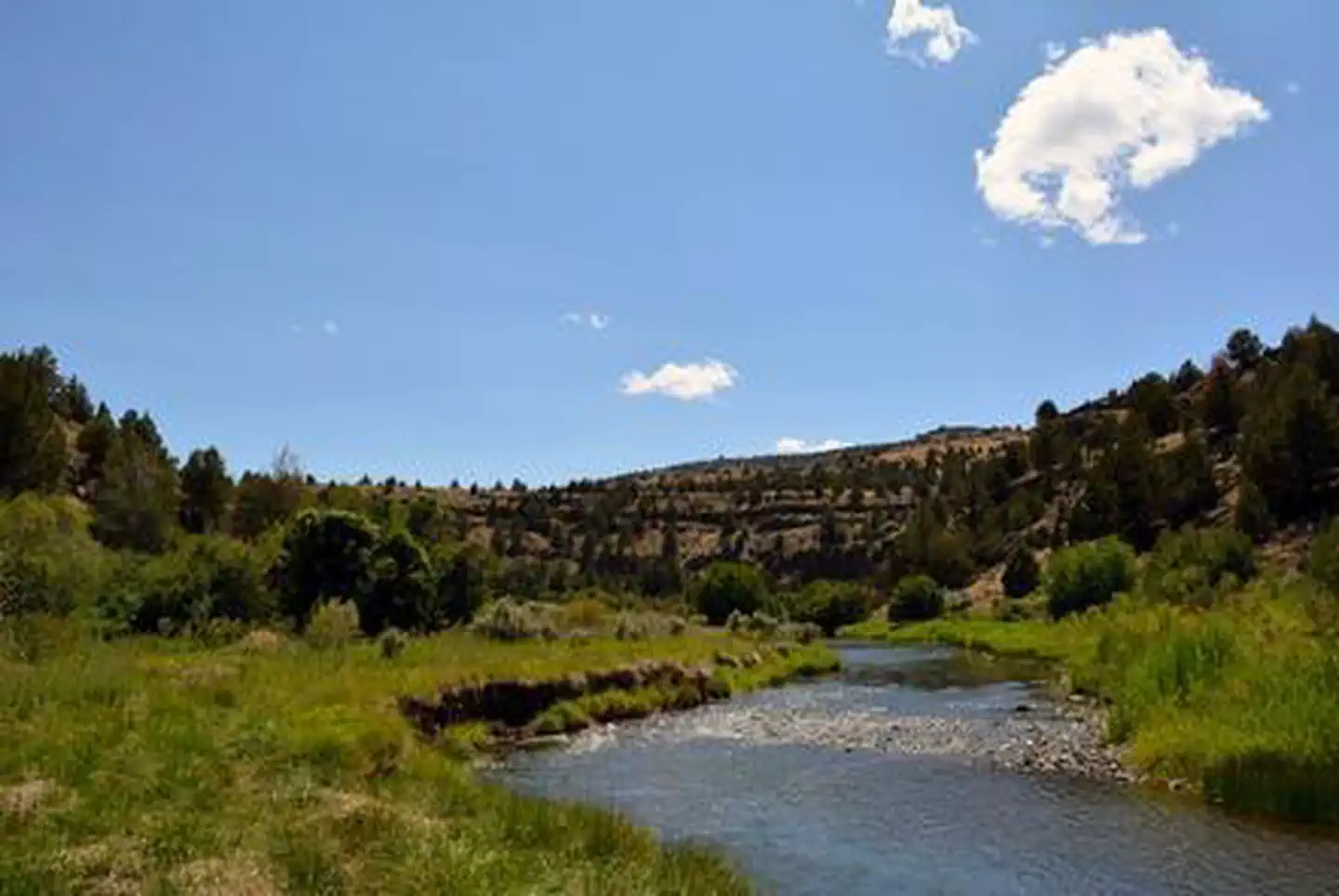 Page Springs Campground photo 4