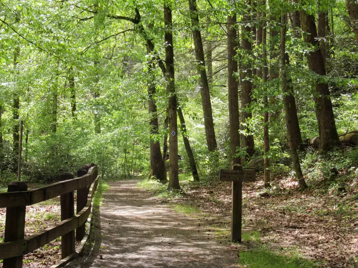 Paint Creek Campground photo 4