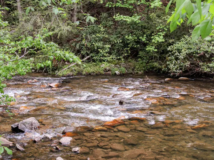 Paint Creek Campground photo 5