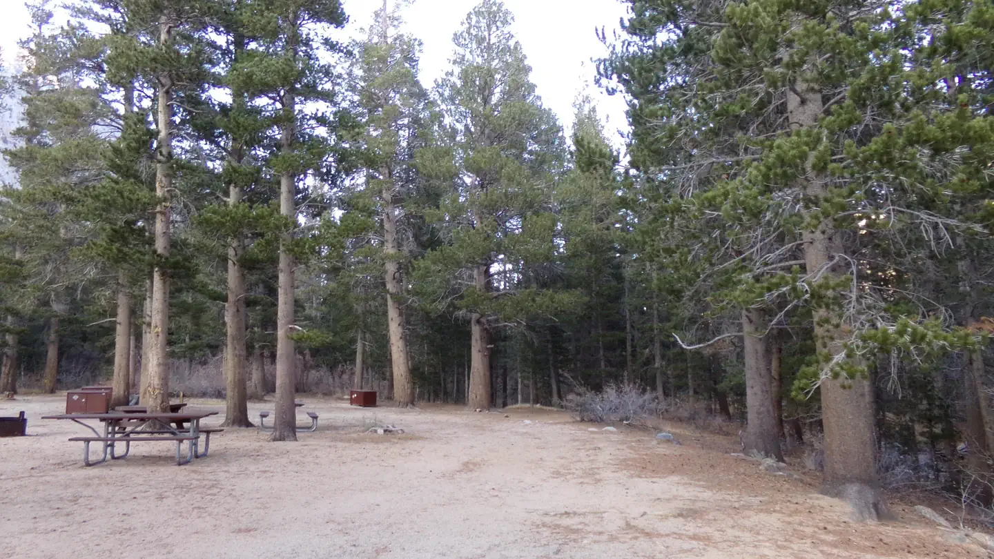 PALISADES GROUP CAMPGROUND photo
