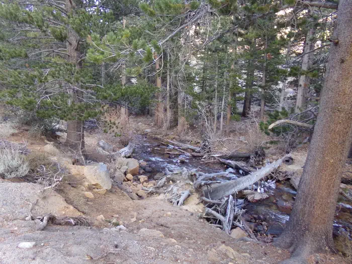 PALISADES GROUP CAMPGROUND photo 3