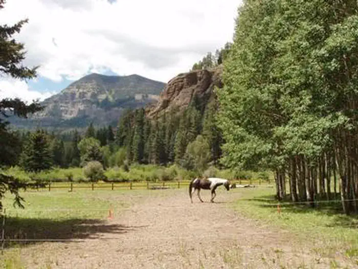 PALISADES HORSE CAMP photo 2