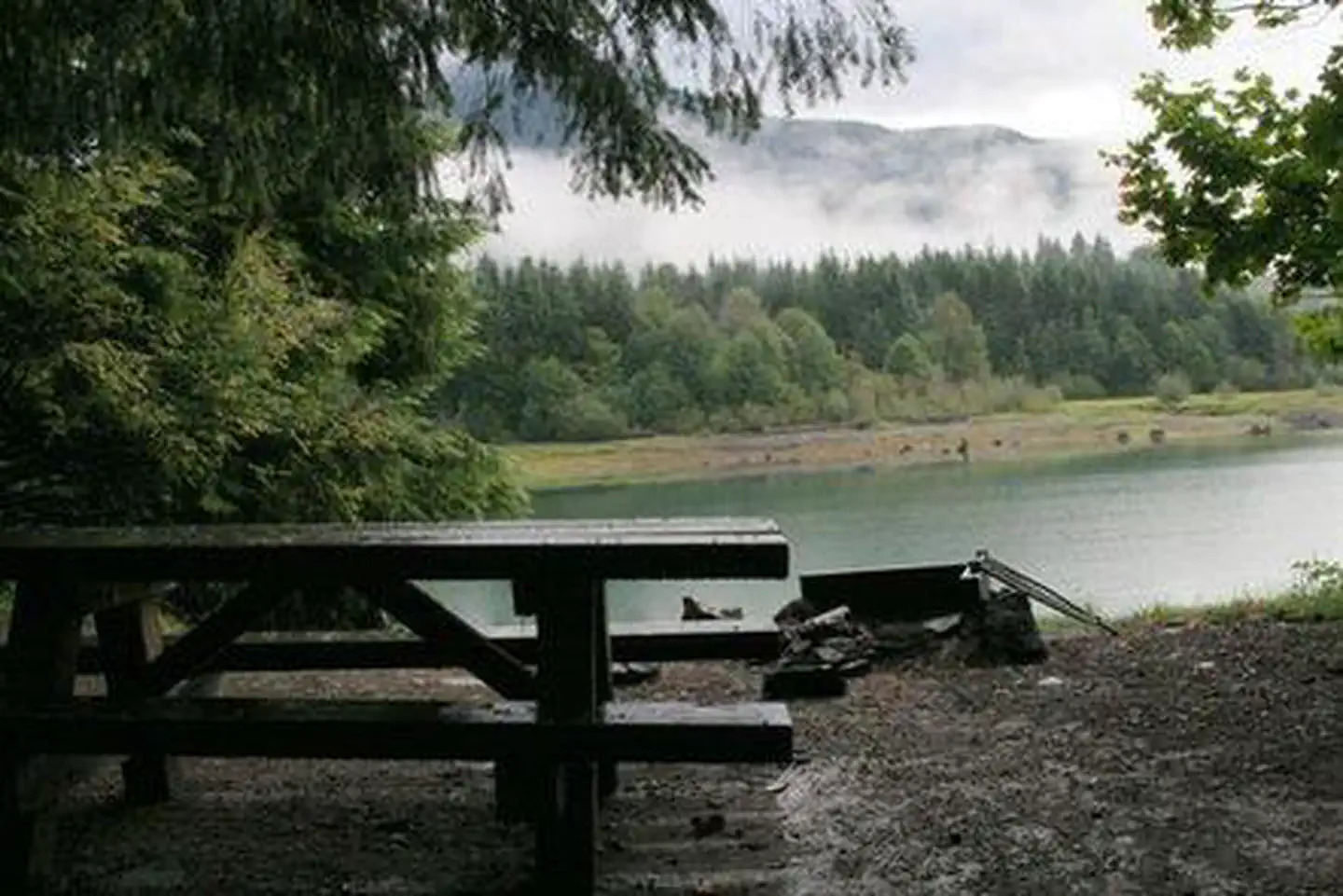 Panorama Point Campground photo 2