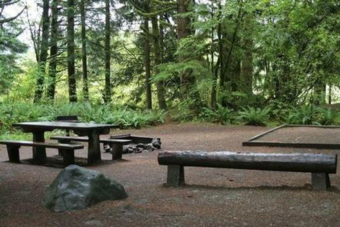 Panorama Point Campground photo 3
