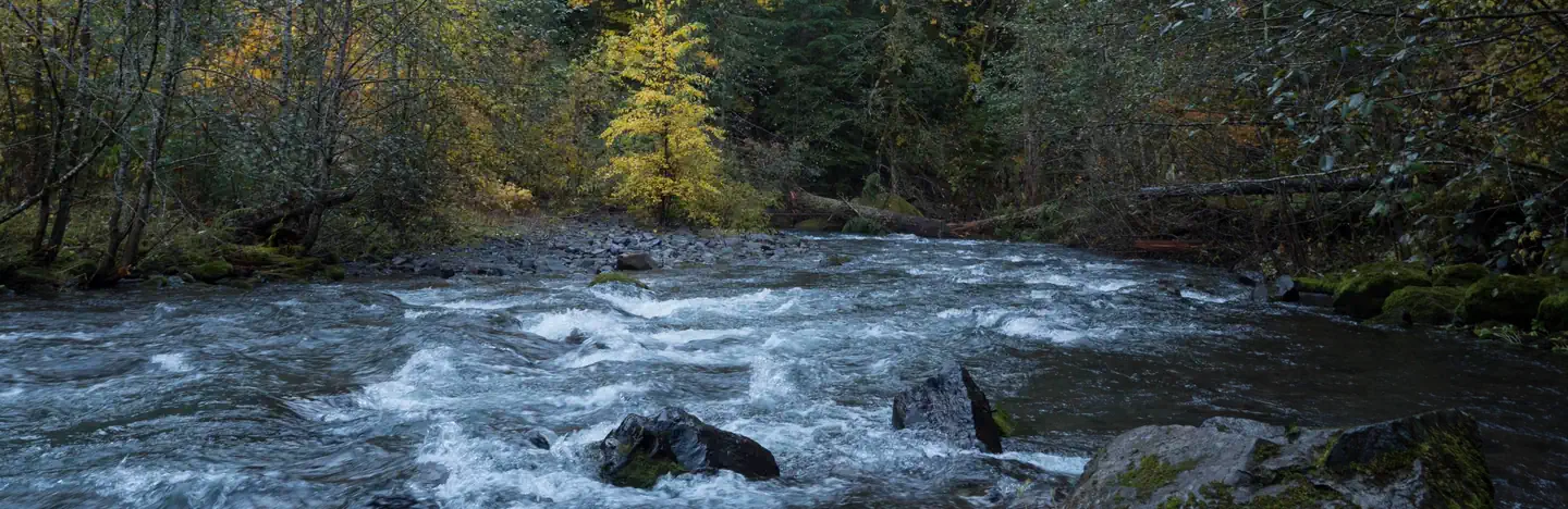 Panther Creek campground photo