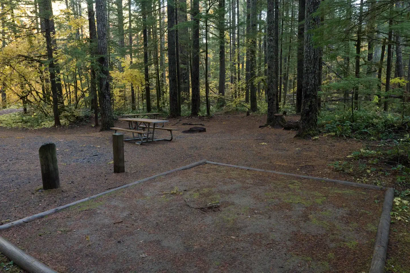 Panther Creek campground photo 3