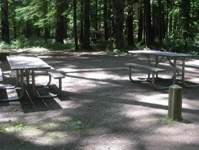 Panther Creek campground photo 5