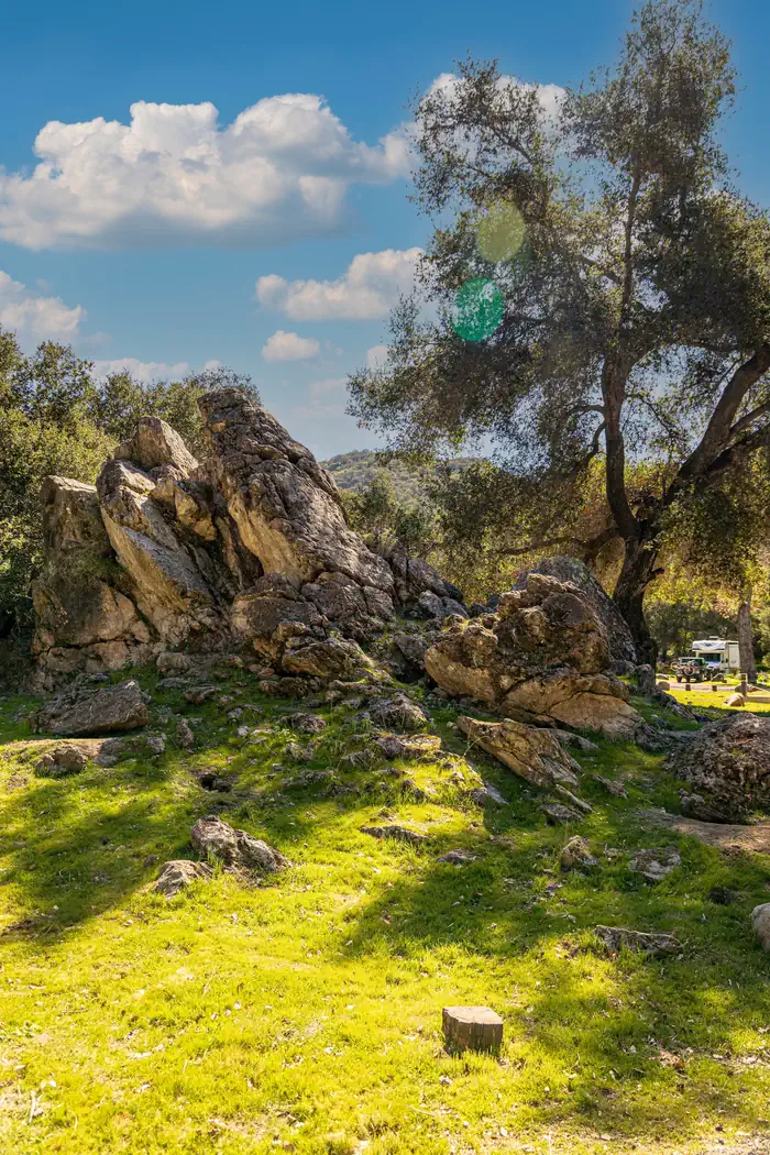 PARADISE CAMPGROUND photo