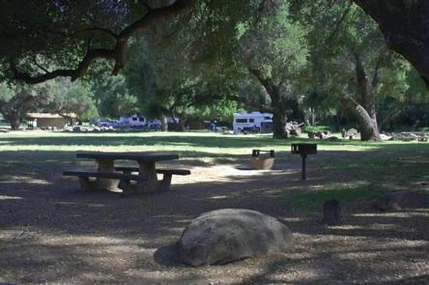 PARADISE CAMPGROUND photo 3