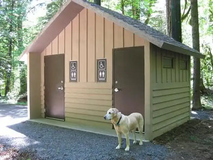 Paradise Creek campground photo