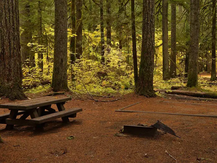 Paradise Creek campground photo 2