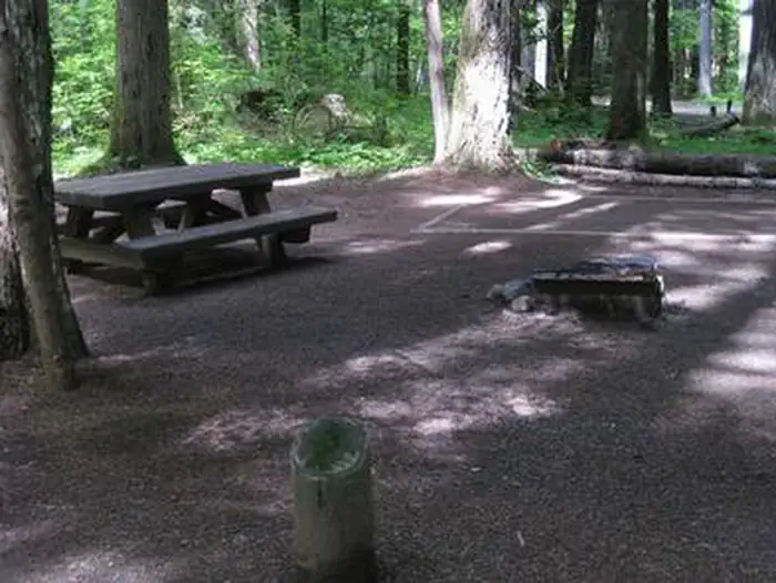 Paradise Creek campground photo 4