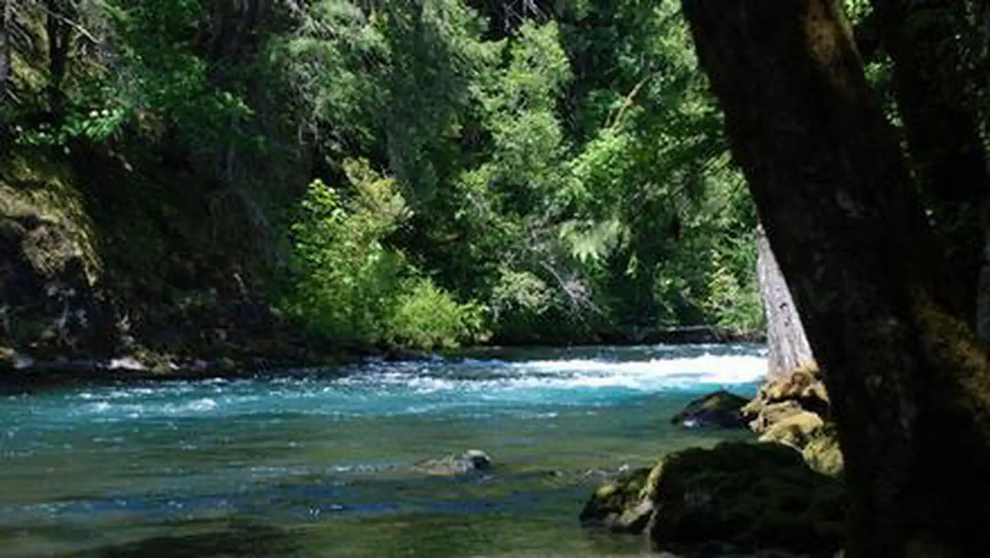 PARADISE IN OREGON photo