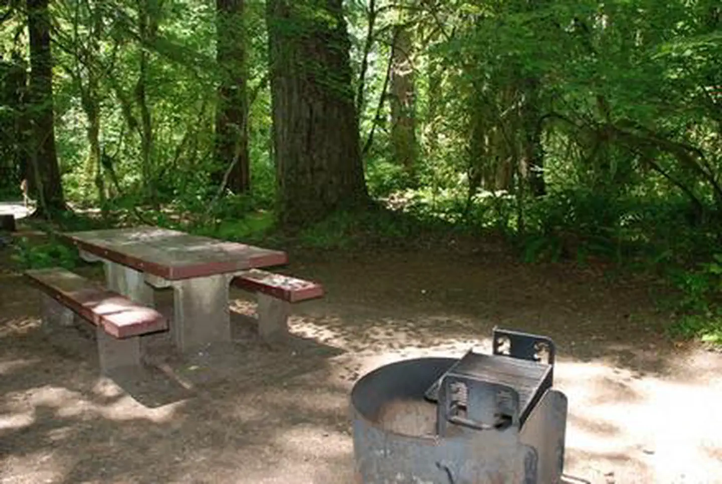 PARADISE IN OREGON photo 3