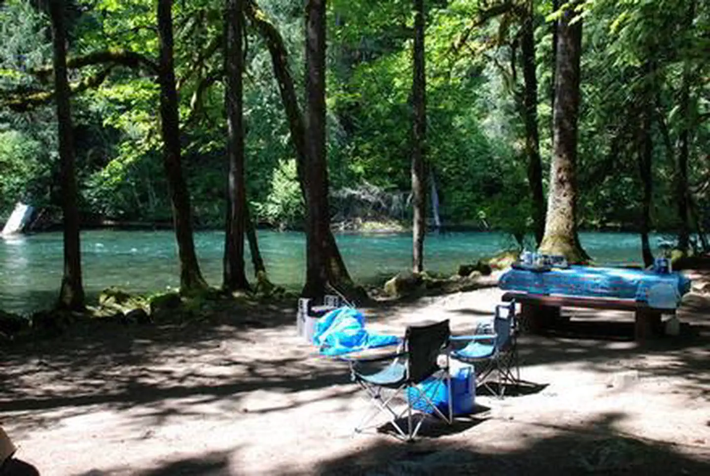 PARADISE IN OREGON photo 4
