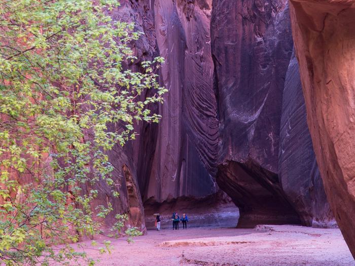Paria Canyon Overnight Permit photo 2