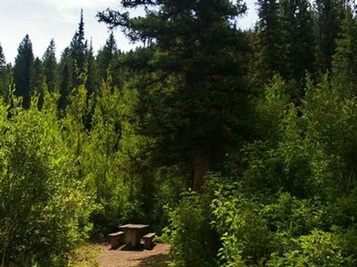 PARIS SPRINGS CAMPGROUND photo
