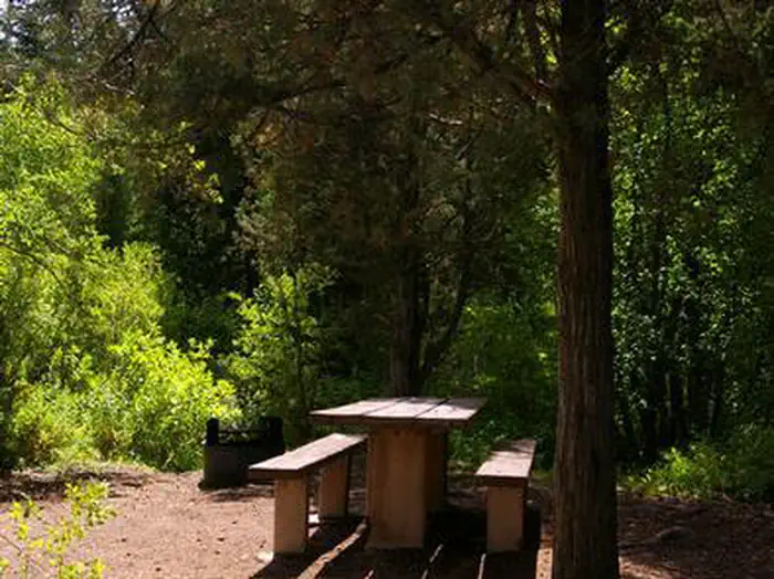 PARIS SPRINGS CAMPGROUND photo 3