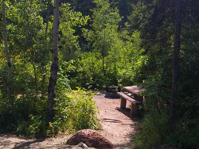PARIS SPRINGS CAMPGROUND photo 4